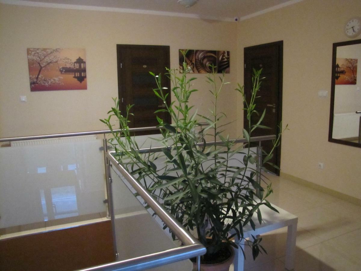 Bed and Breakfast Heveliusz Sokolow Podlaski Exterior foto